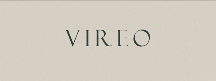 VIERO BRANDING
