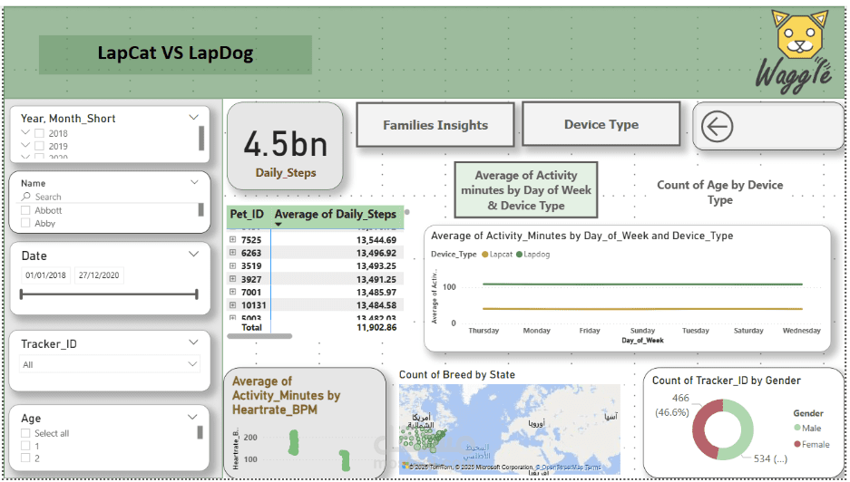 Building a PowerBI Report for Waggle