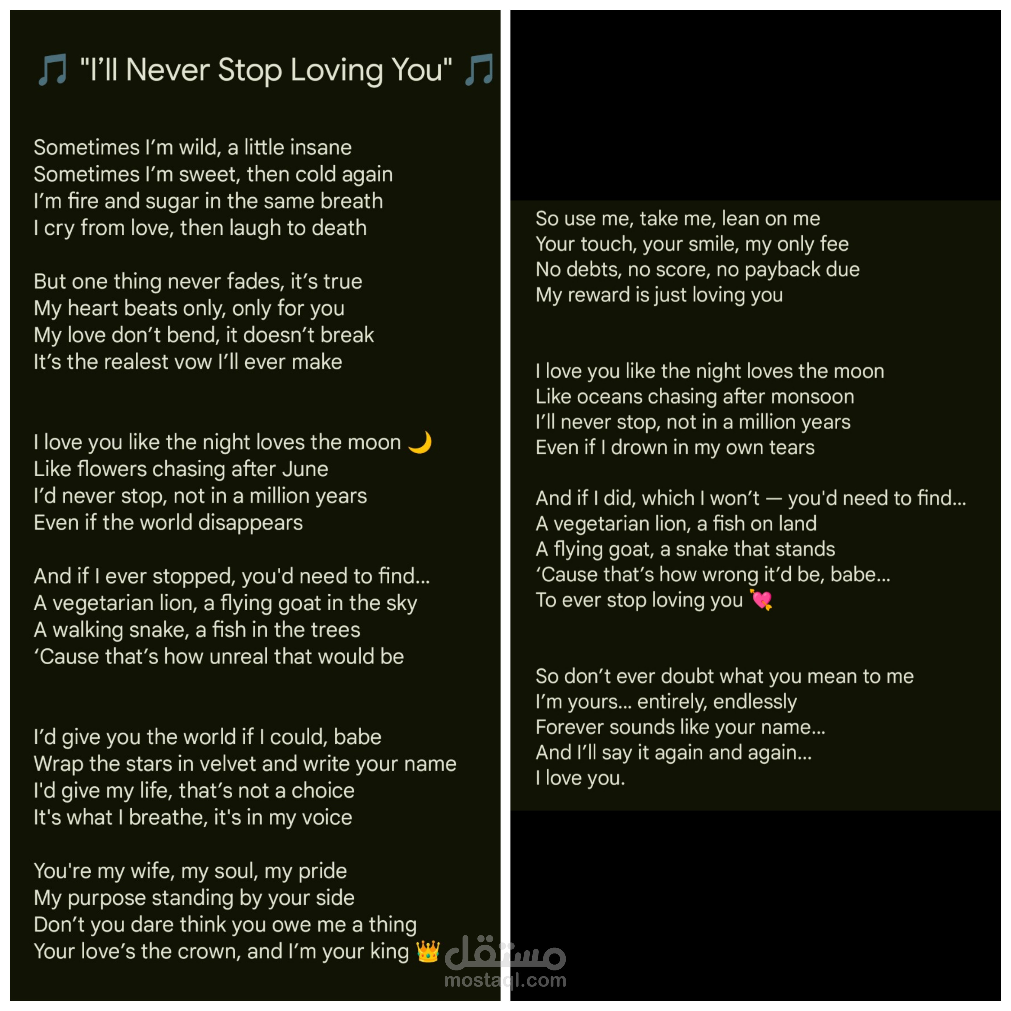 قصيدة حب عصرية بعنوان "I’ll Never Stop Loving You"