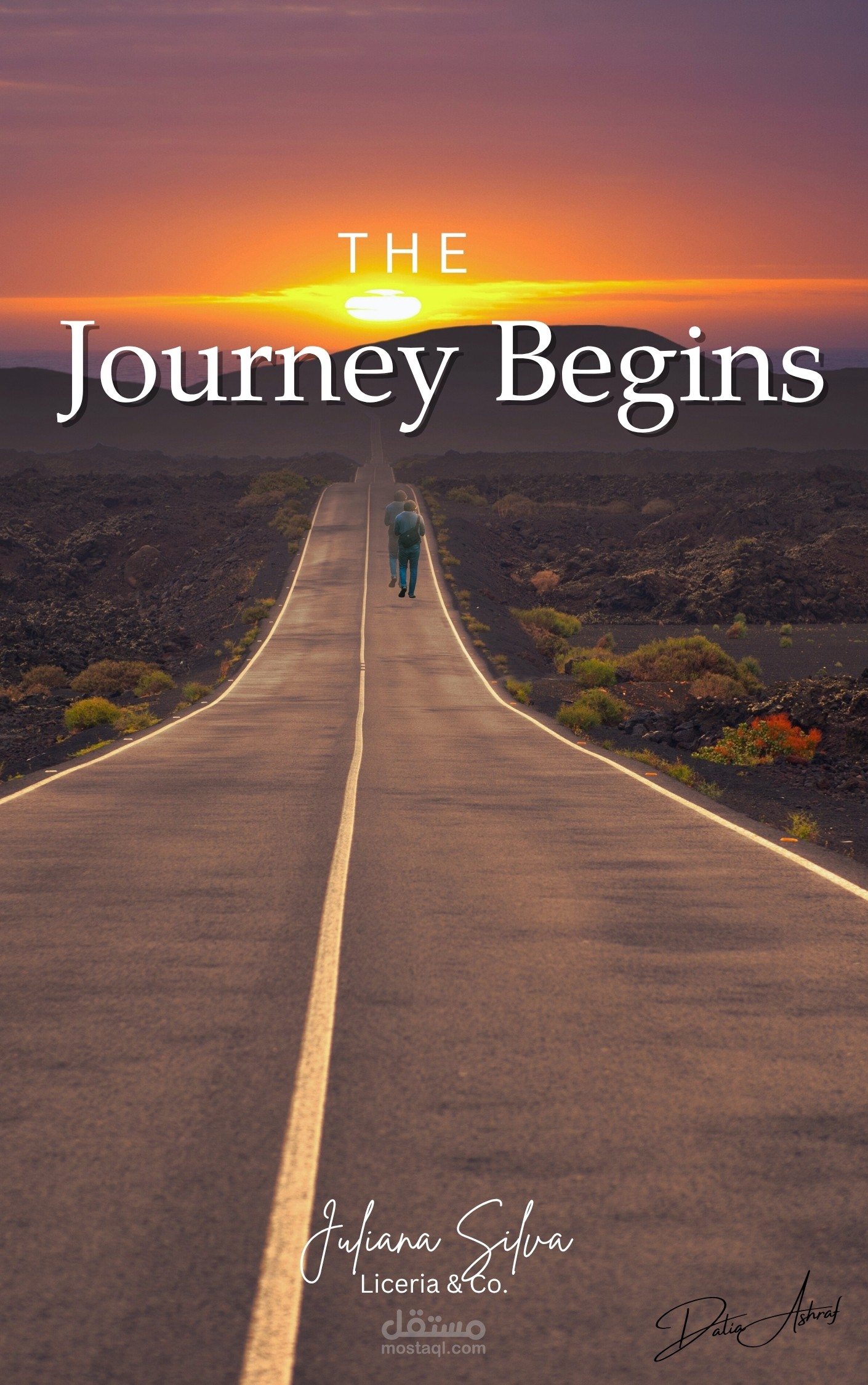The Journey Begins book cover