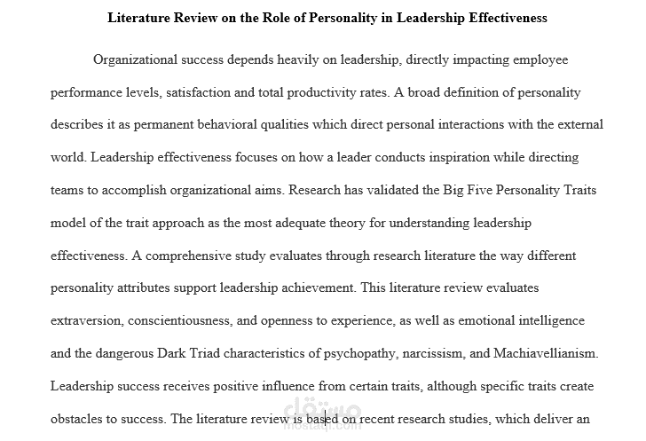 literature review