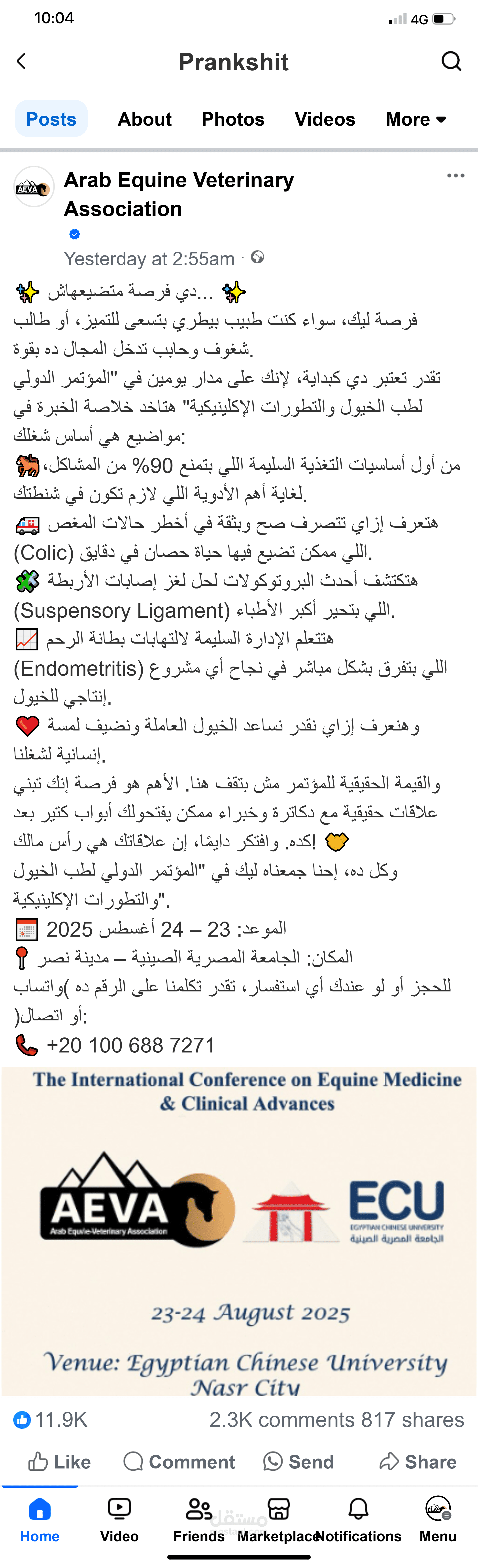 اعلان لمؤتمر عن طب خيول