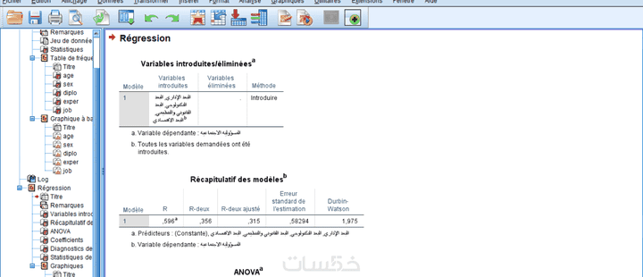 إعداد وتحليل البيانات باستخدام SPSS مع شرح وتفسير النتائج