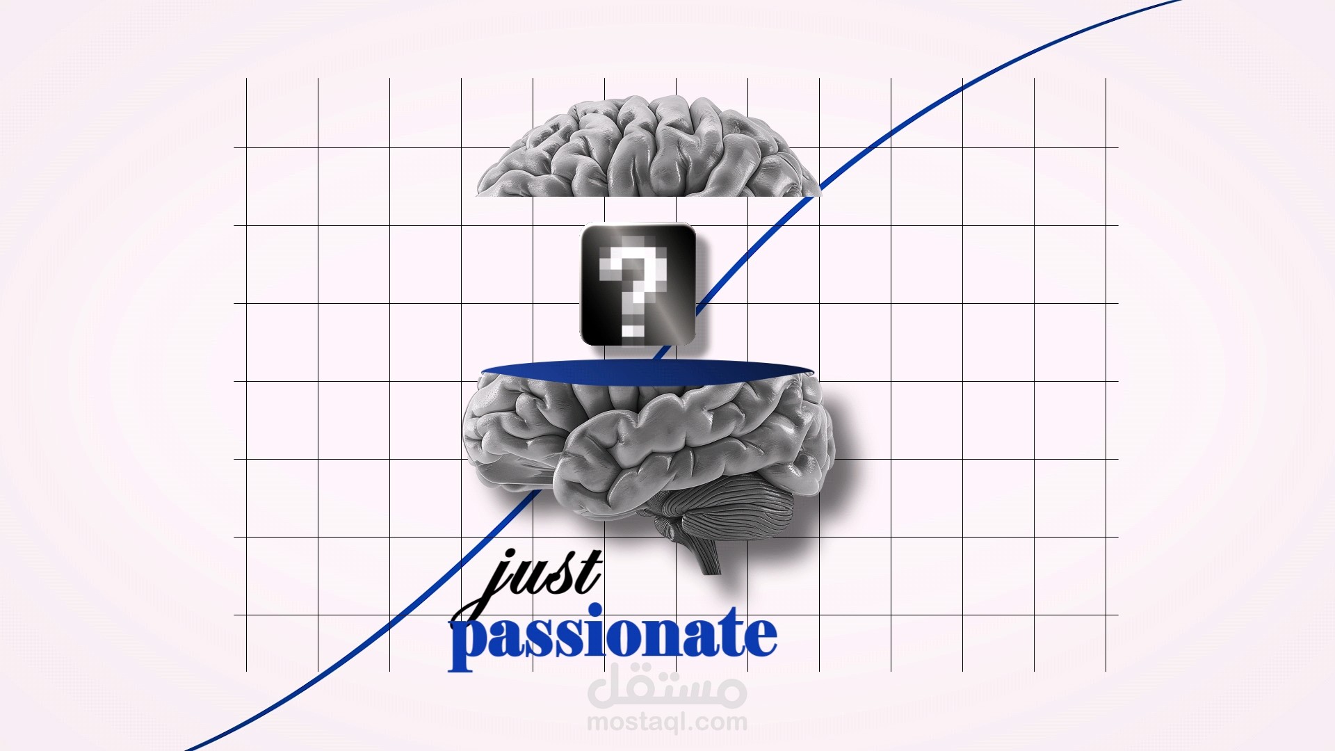 business and video marketing