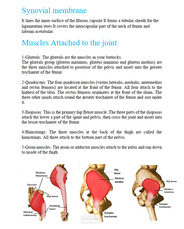 Anatomy project
