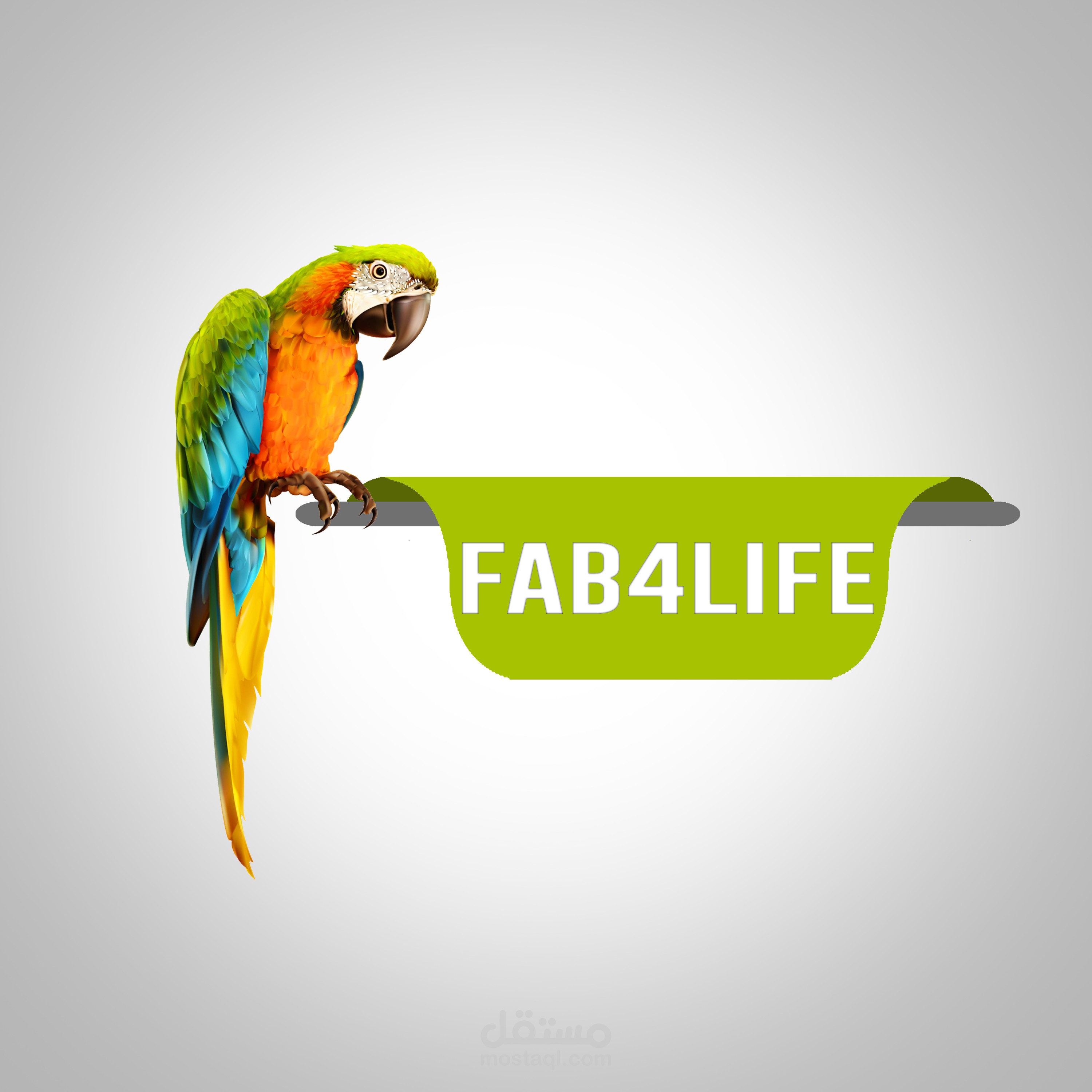 شركة FAB4LIFE