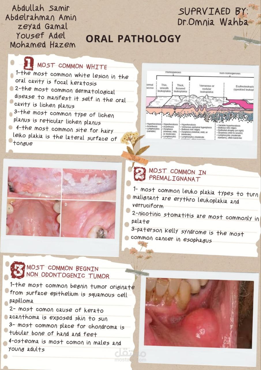 educational PDF on oral pathology