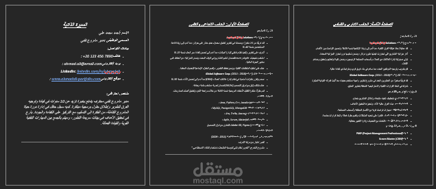 سيرة ذاتية احترافية