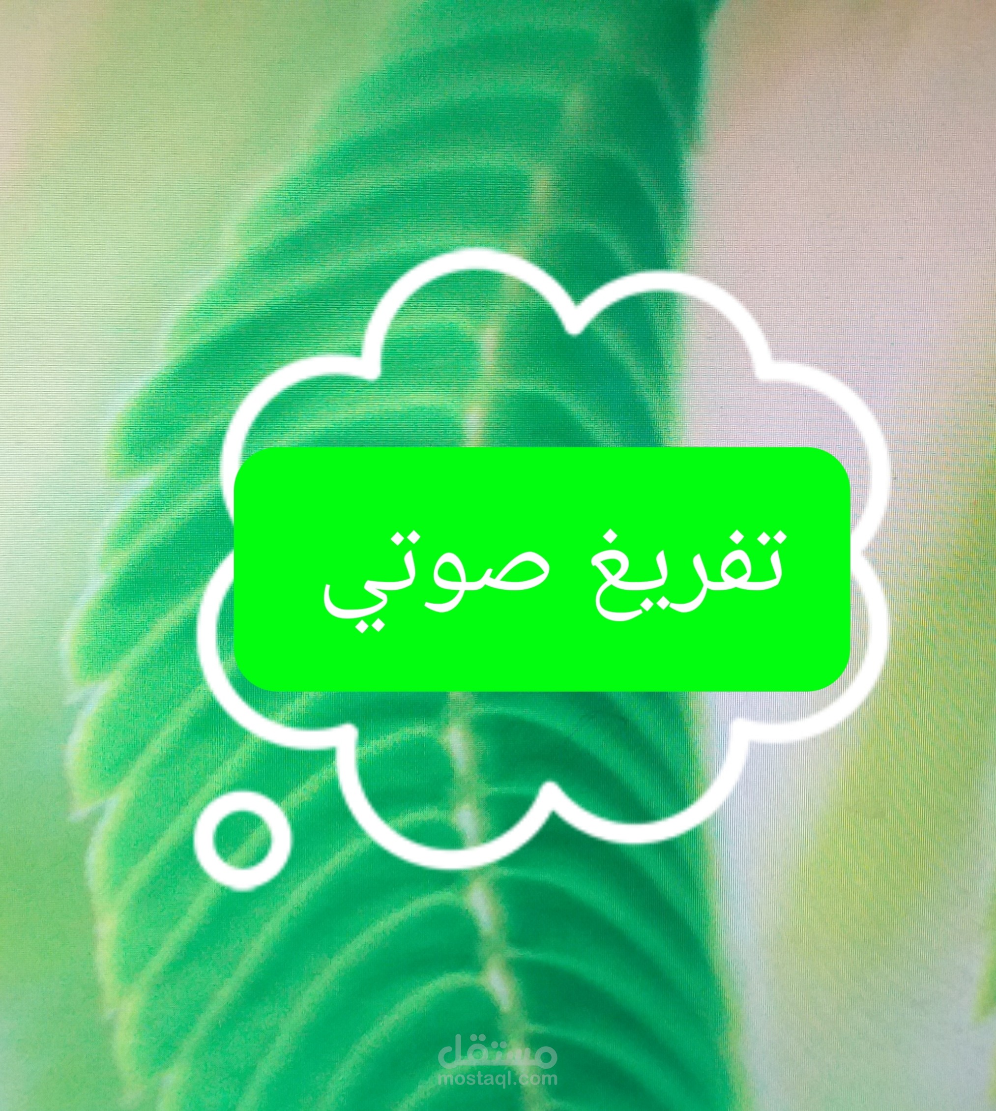 تفريغ  احترافي لموقع فيديو  صغير