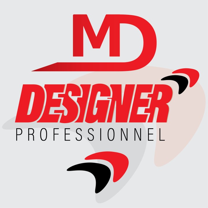 ) logo ( Designer professionnel