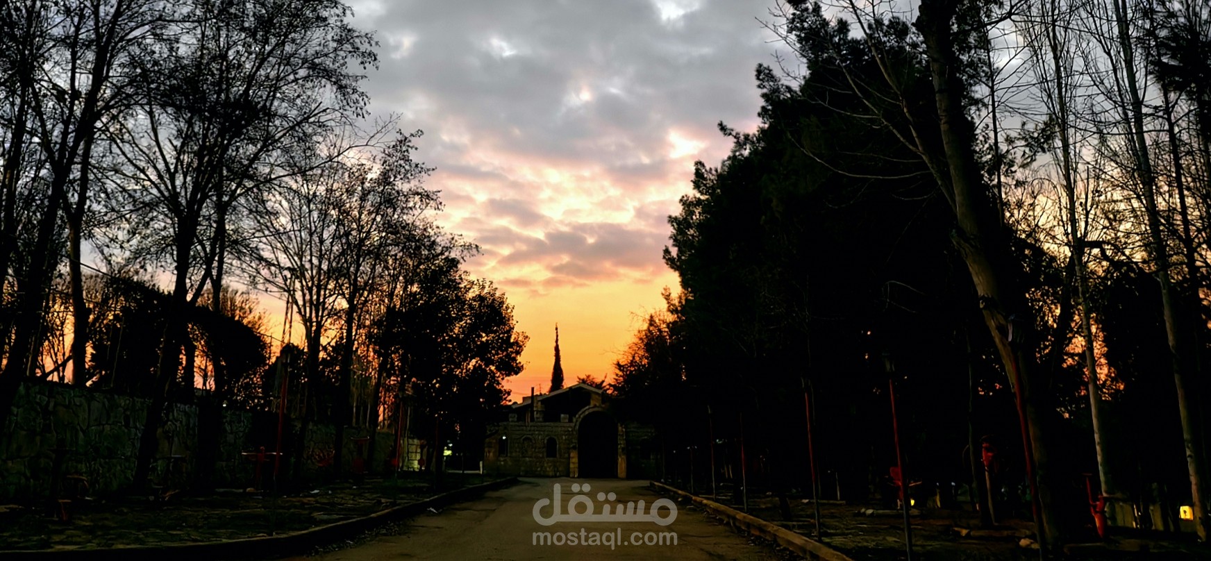 صور ابداعية