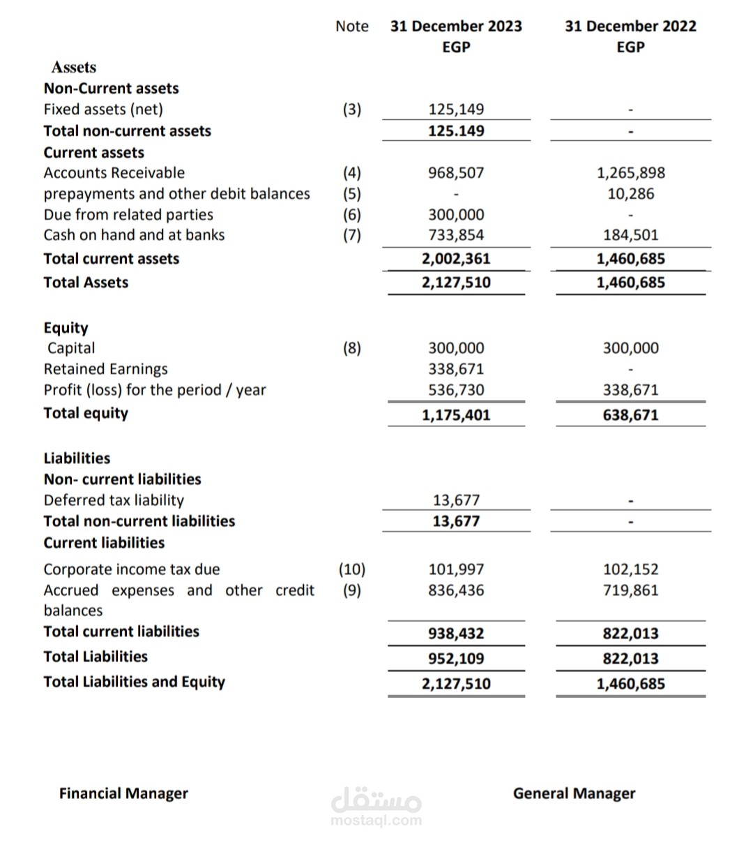 Financial statement