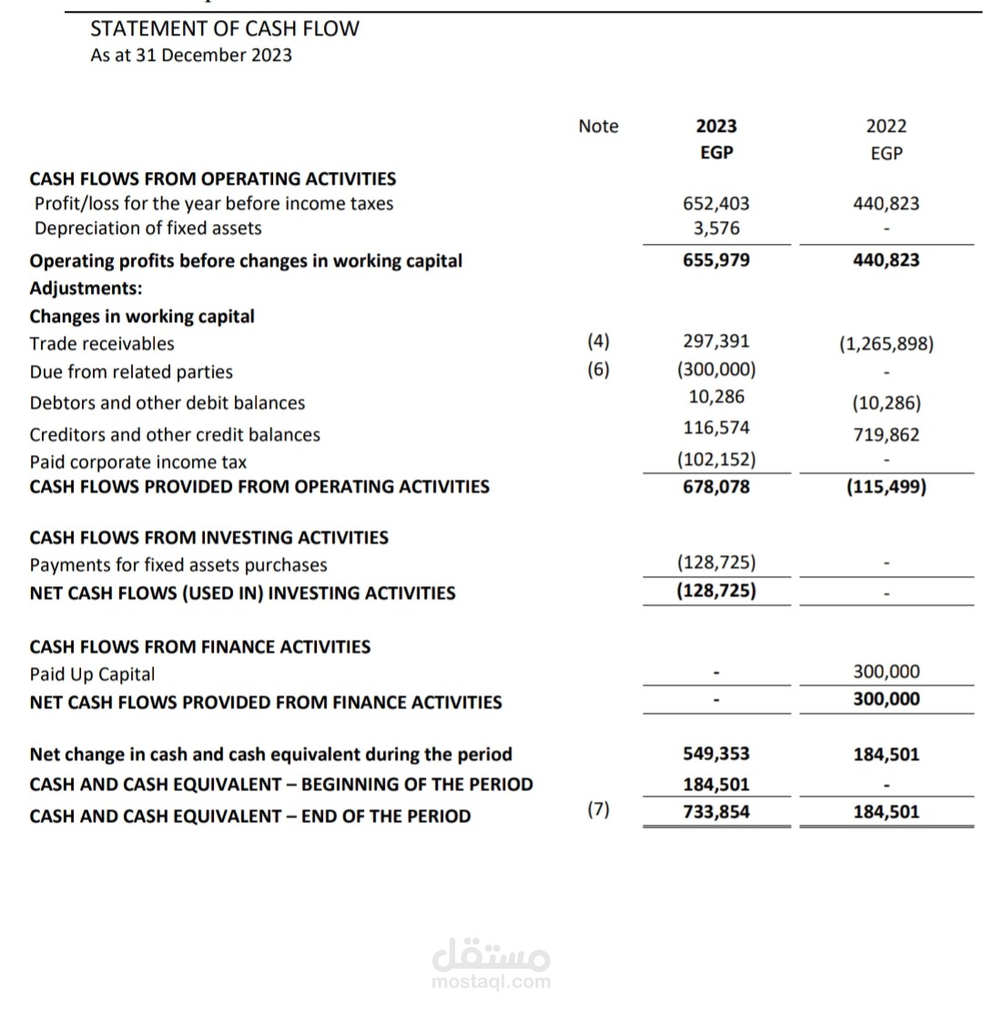 Financial statement