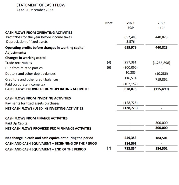 Financial statement