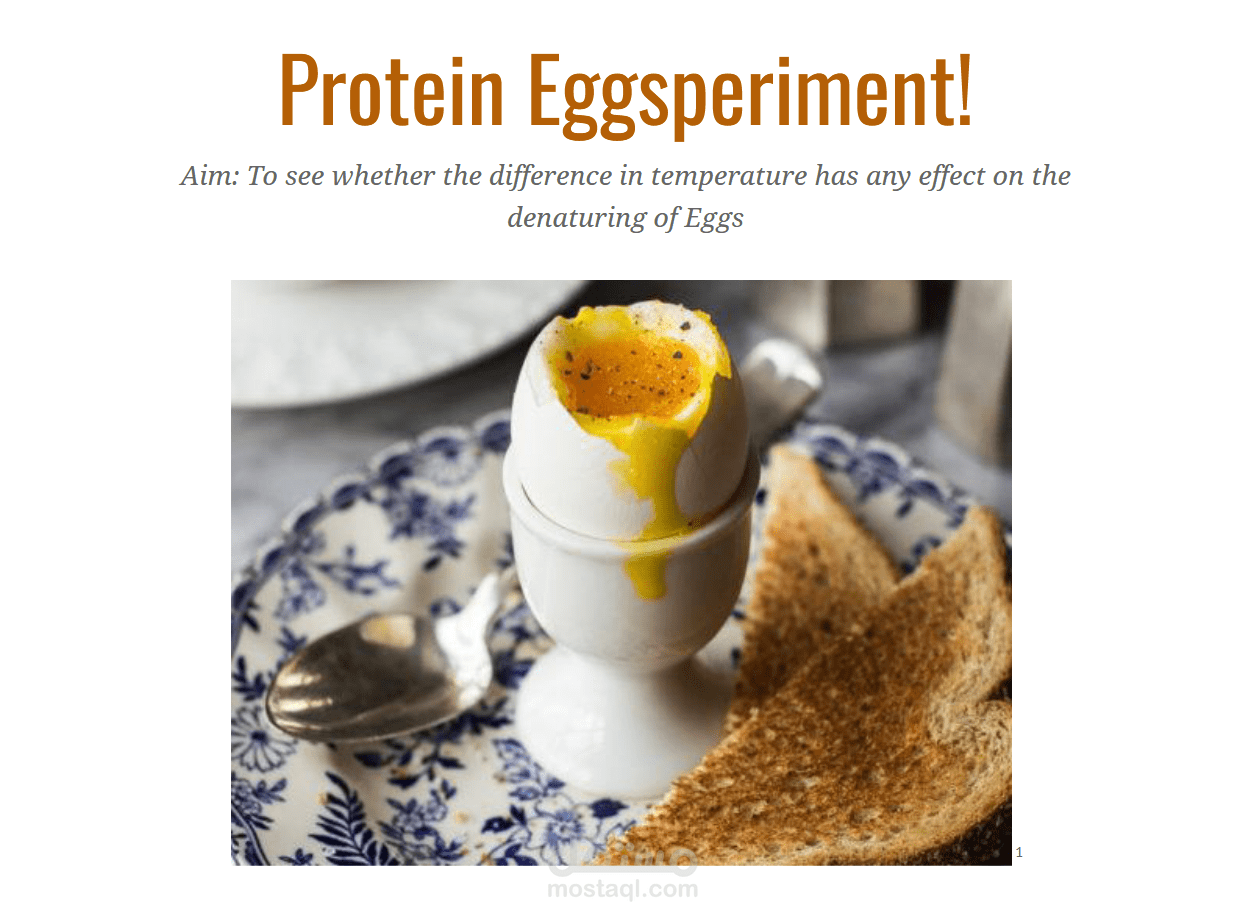 Protein Eggsperiment Research