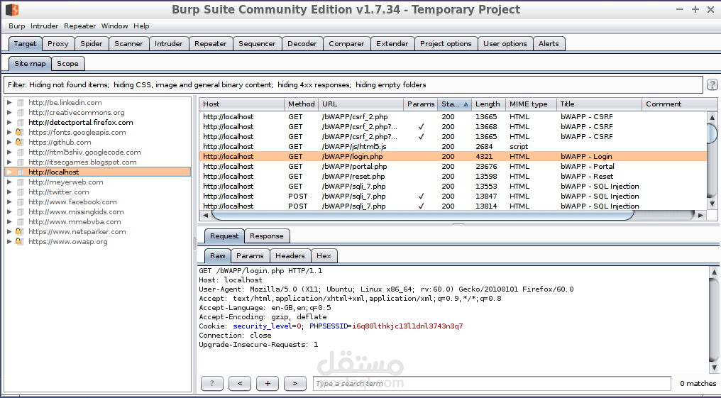 Web Application Penetration Testing Report (Demo)