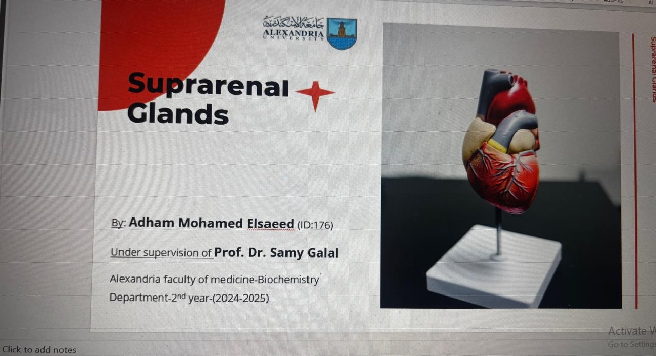 ppt about suprarenal glands