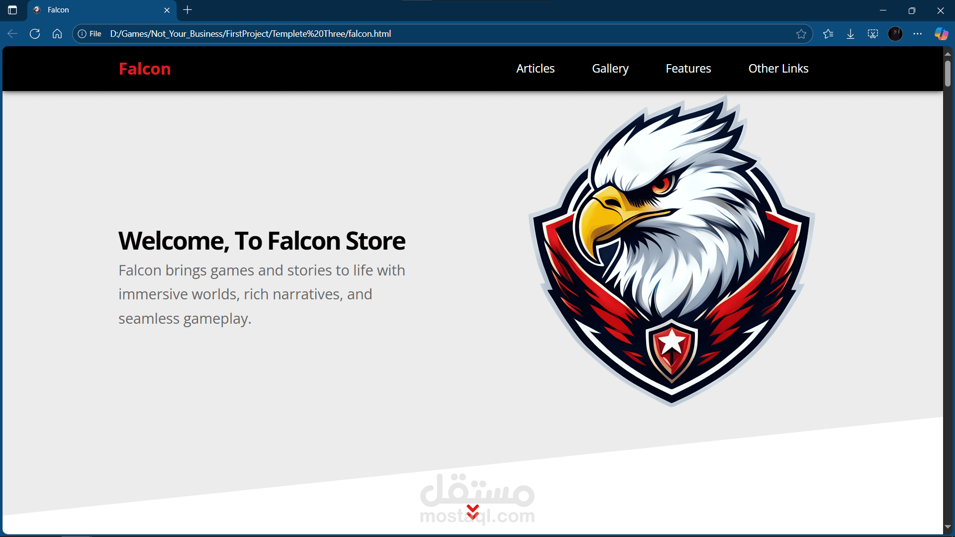 Falcon Store