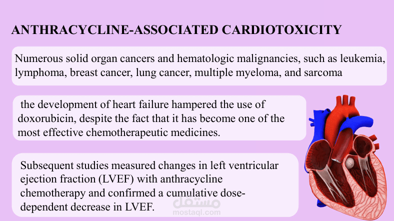 CARDIOTOXICITY OF BREAST CANCER CHEMOTHERAPY Anthracycline-related versus HER2 receptor antagonist