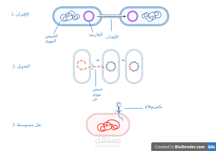 مقالة بعنوان مستقبل مقاومة المضادات الحيوية