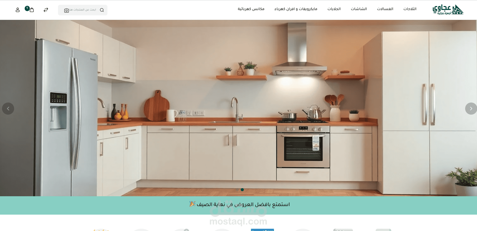 Ecommerce Websites Developement