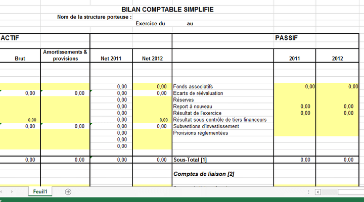 Bilan with Miscrosoft Excel