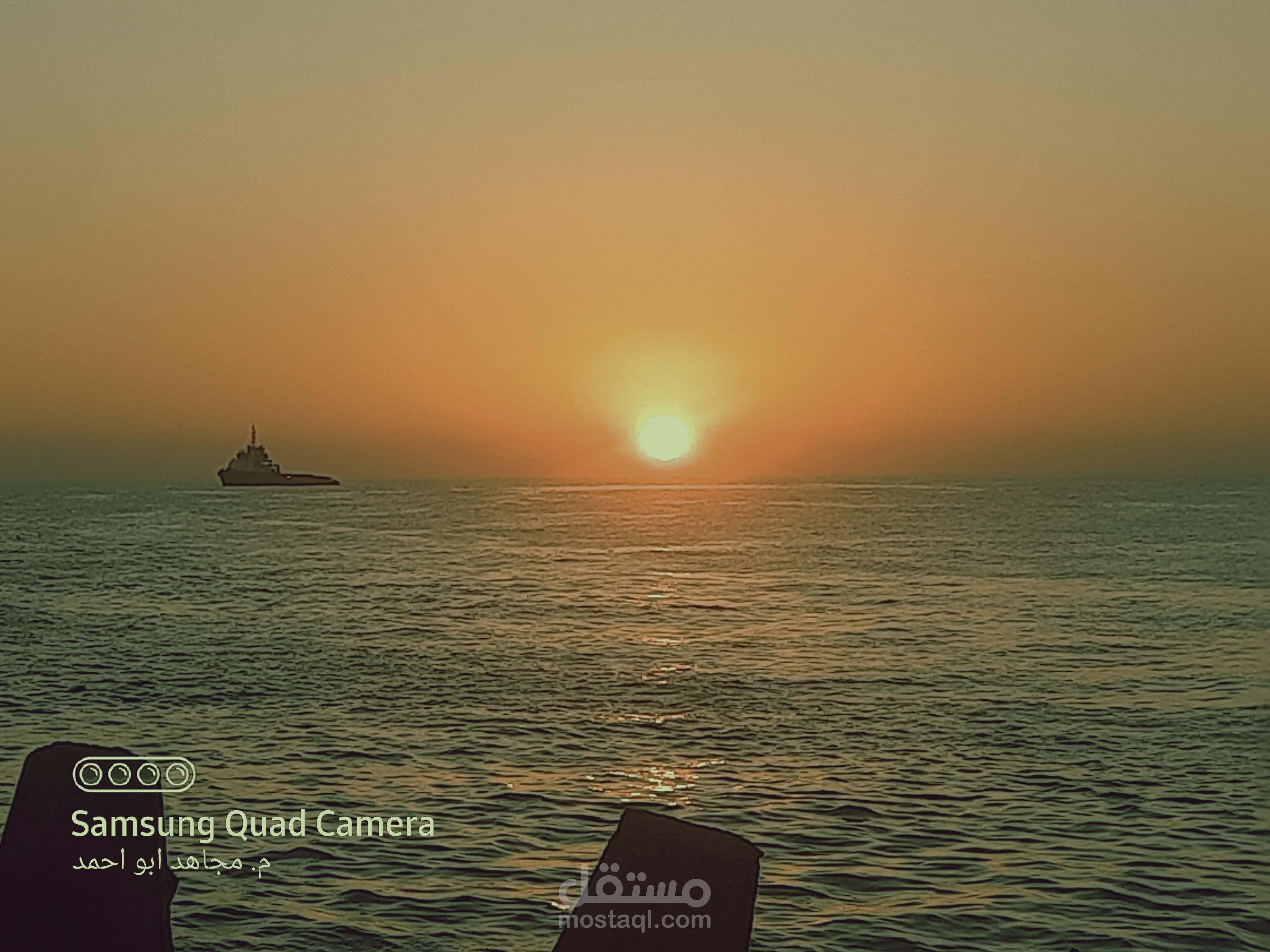 ترجمة