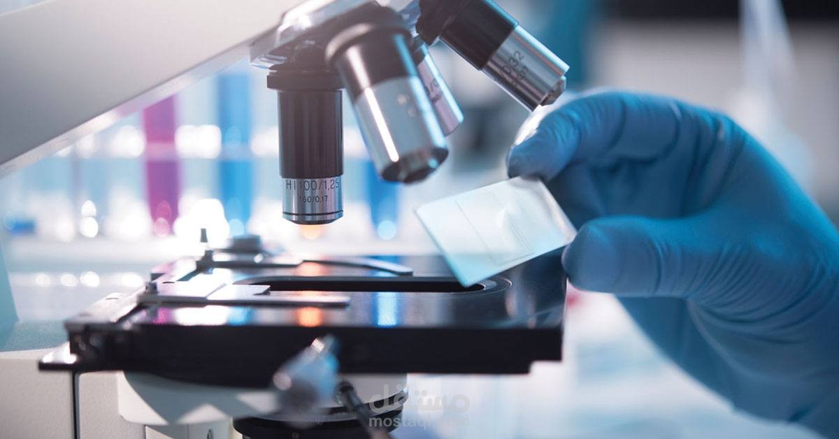 متطلبات الجودة في المختبرات الطبية ISO 15189