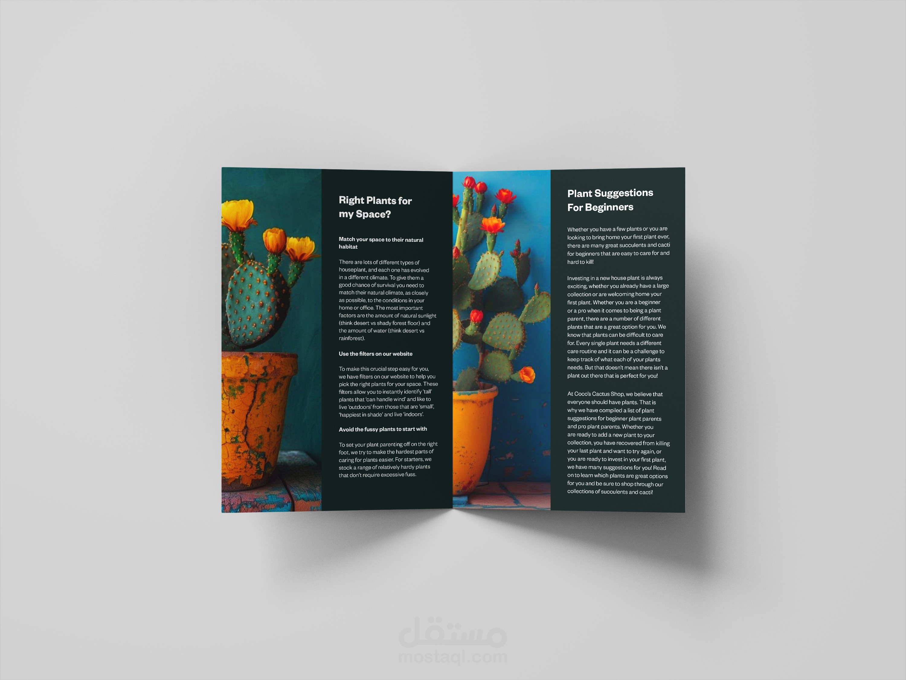 brochure design