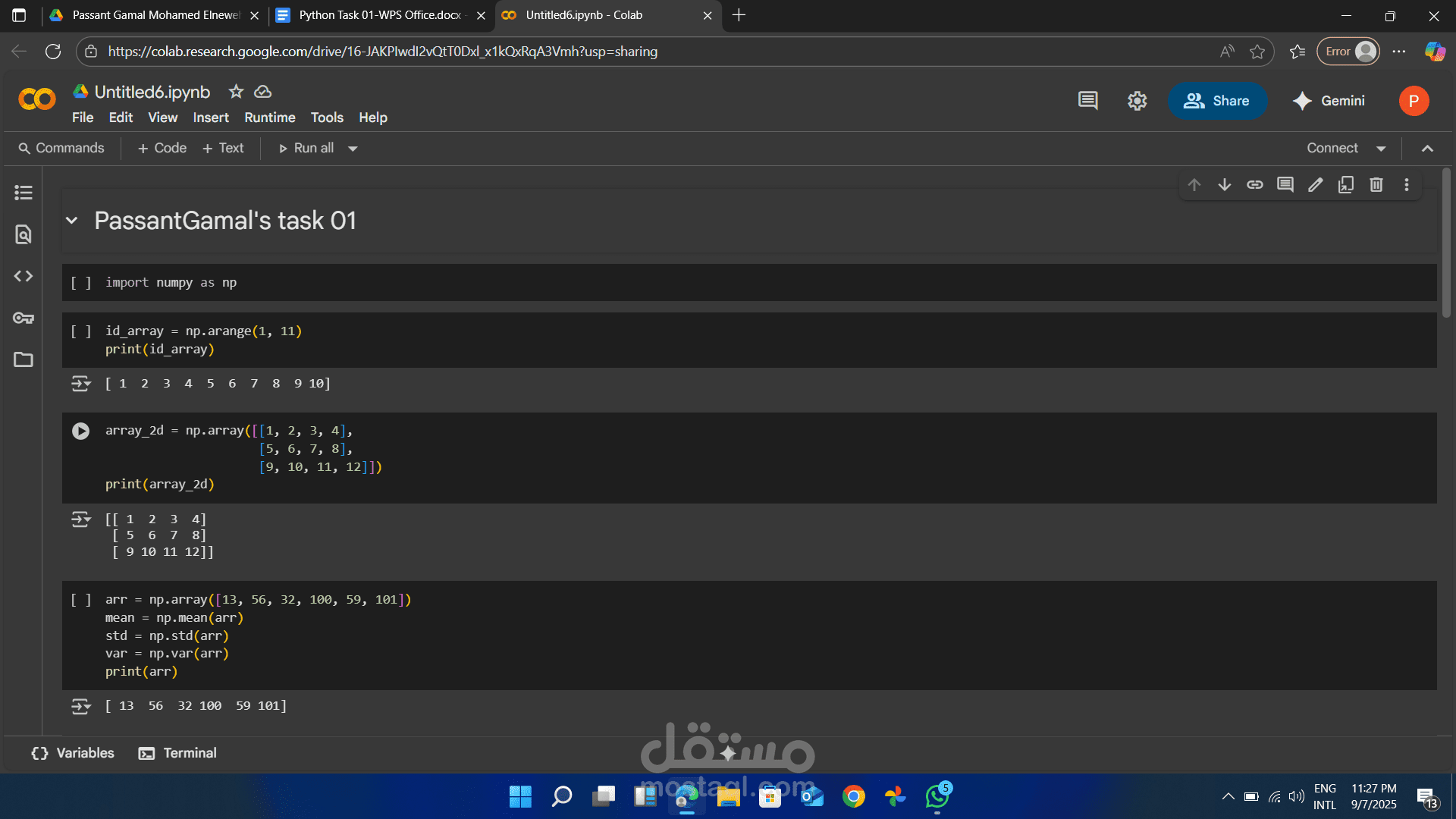 تاسك يبرز اتقان NumPy