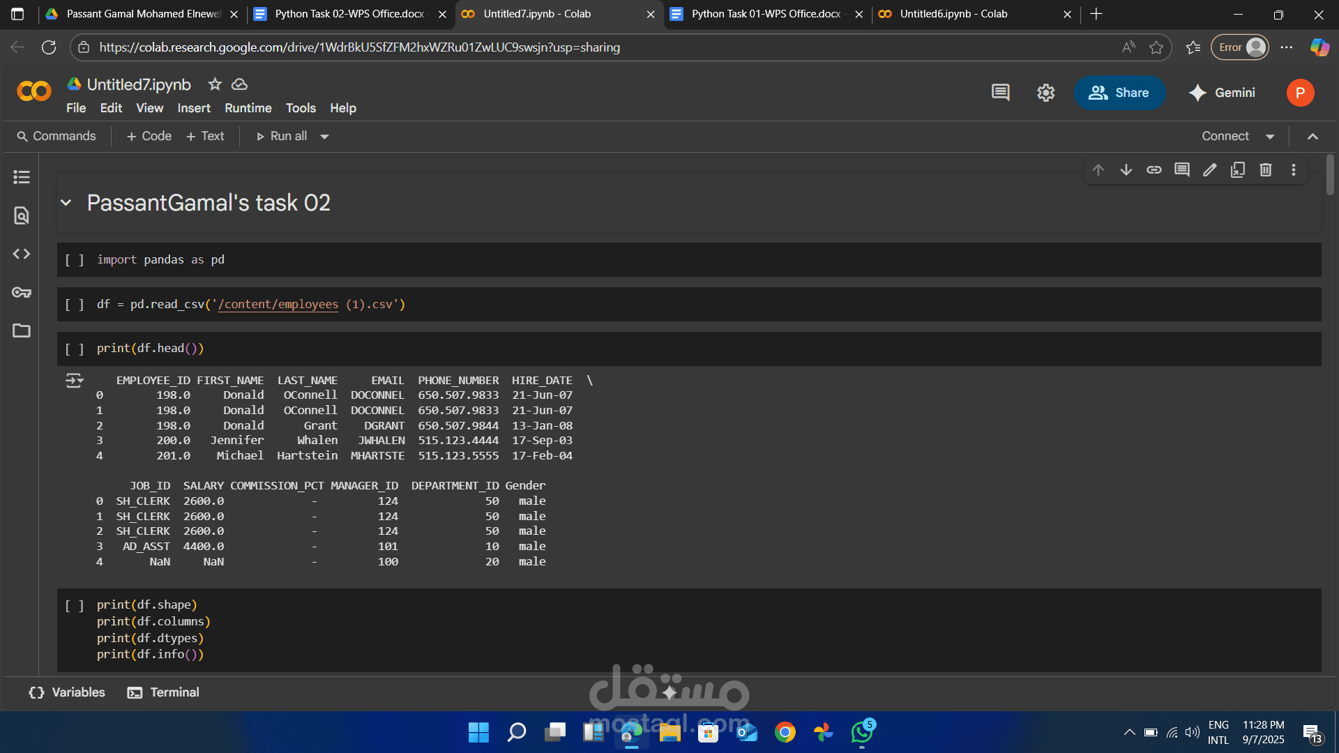 تاسك يبرز اتقان Pandas
