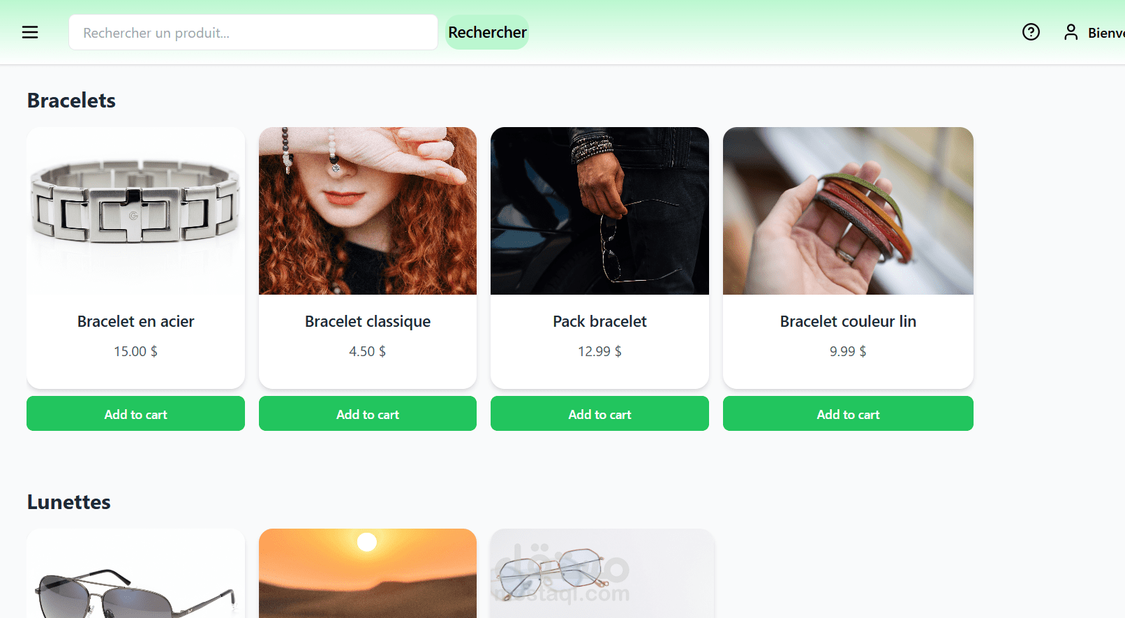 ecommerce website