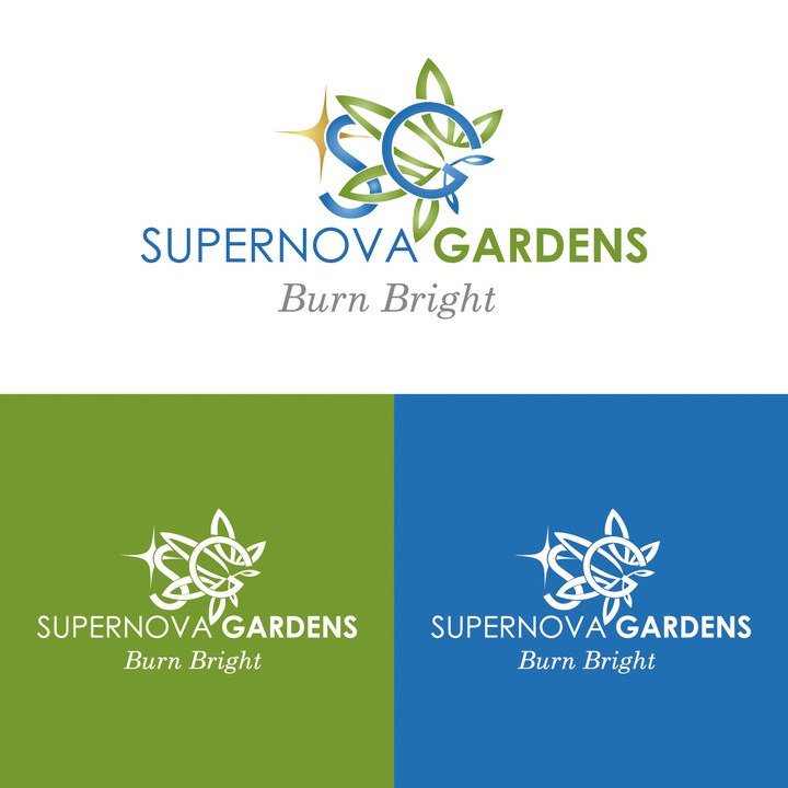 logo supernovas