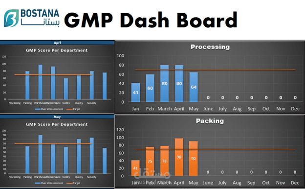 GMP Audit Report