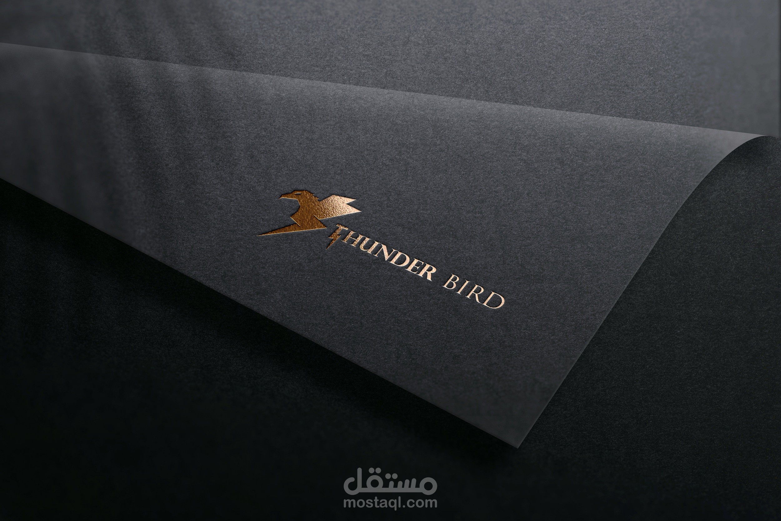 THUNDER BIRD