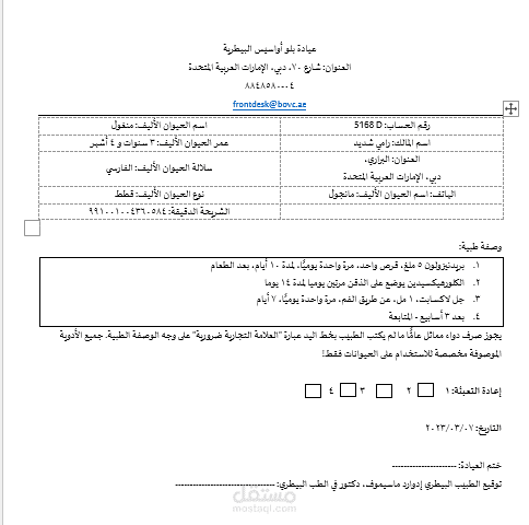 Medical Document Translation