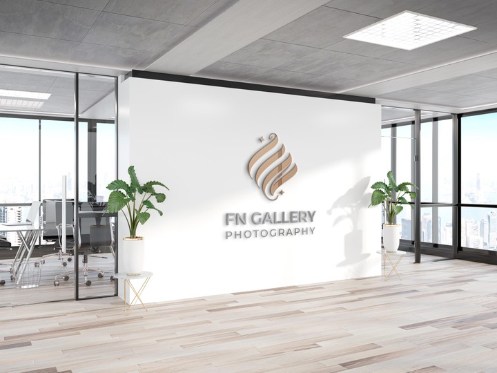 شعار FN Gallery