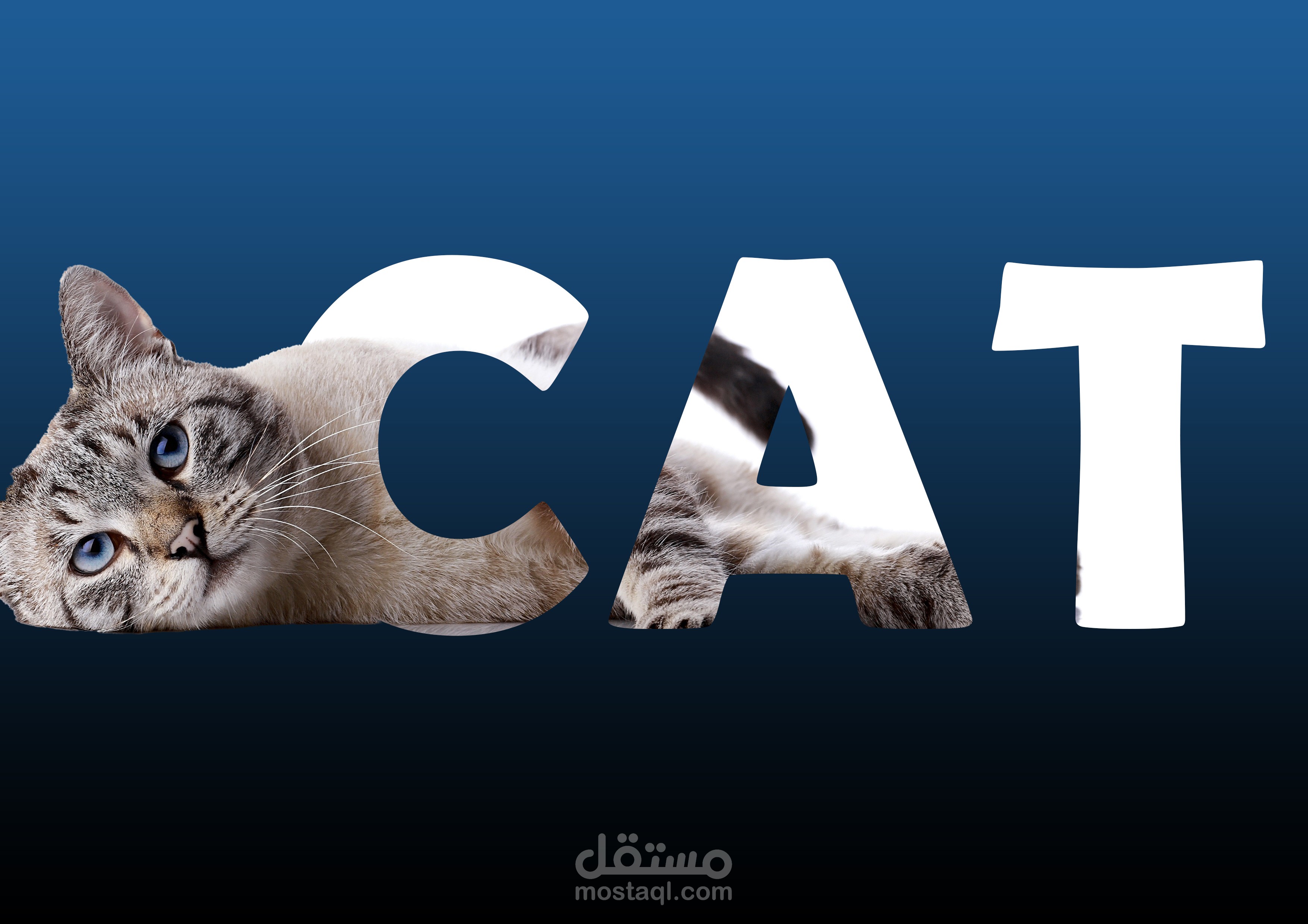 تصميم بصري لكلمة Cat