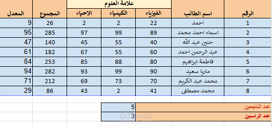 إدخال البيانات على برنامج إكسل
