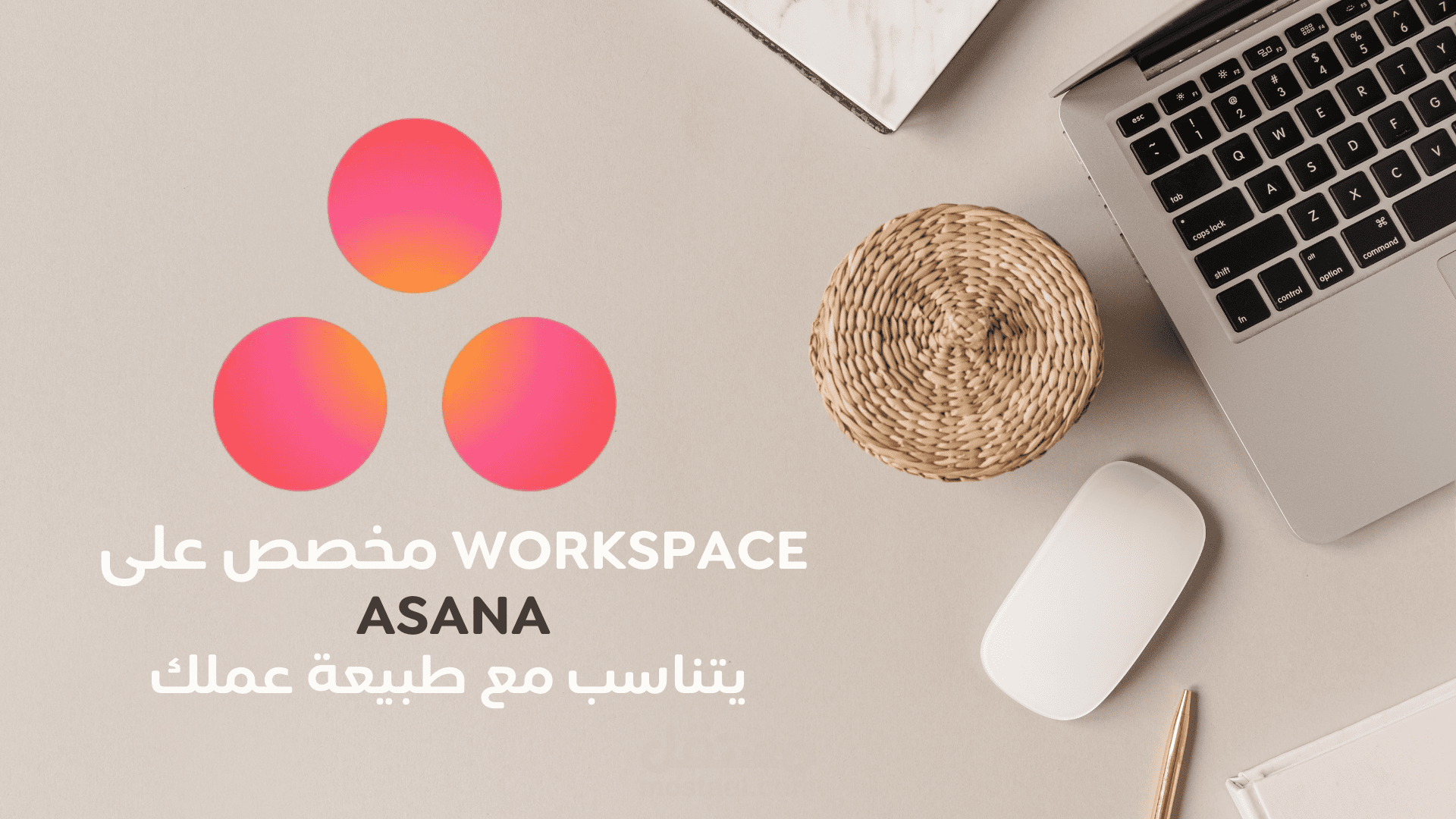 سأقوم بإعداد Workspace احترافي على Asana لتنظيم مشاريعك ومهام فريقك