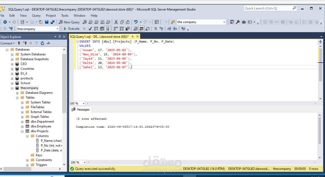 SQL server the company projects