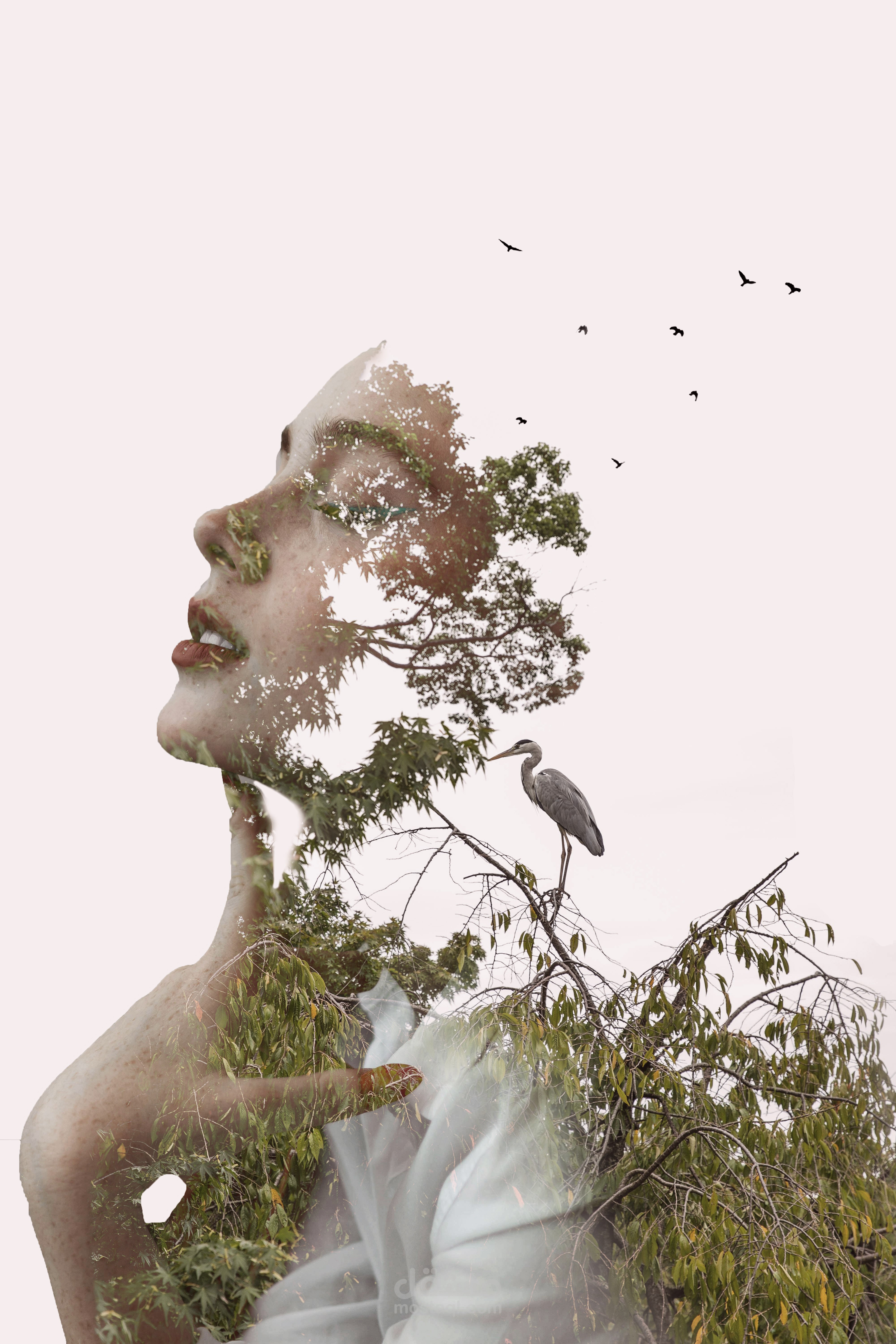 Double exposure 2