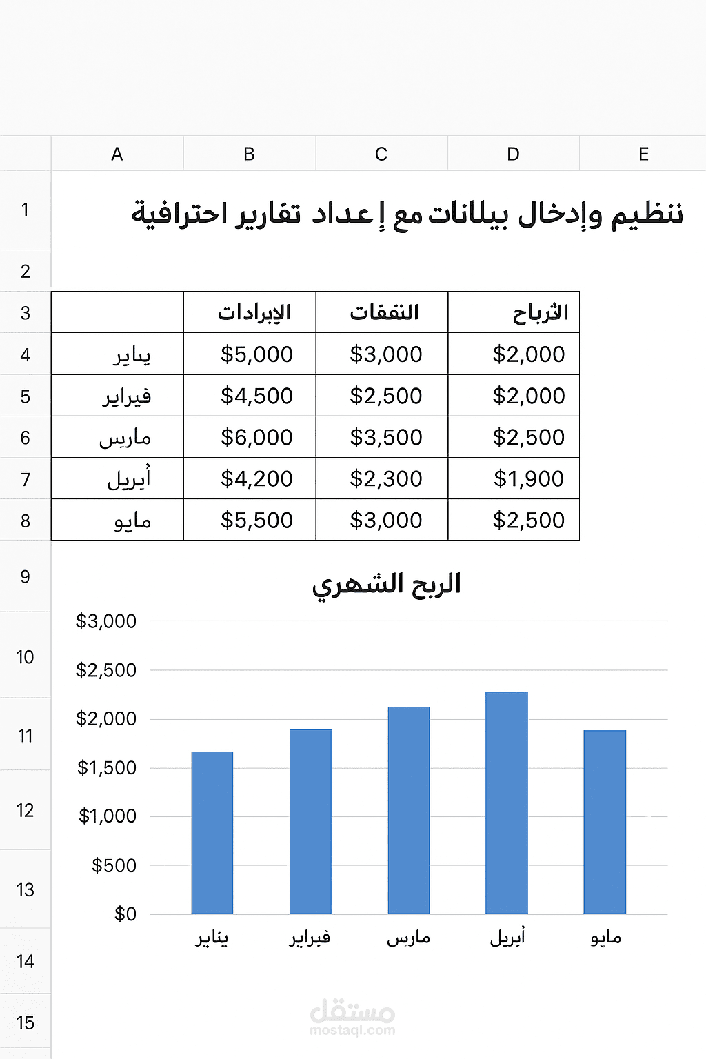 تنظيم وإدخال بيانات مالية على Excel مع إعداد تقارير احترافية