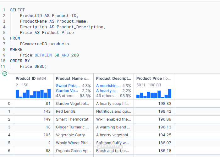 Ecommerce SQL Project