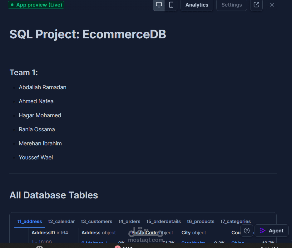 Ecommerce Database