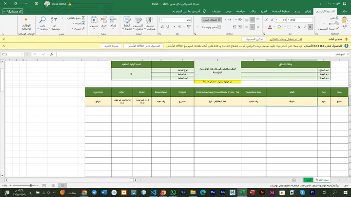 اإدخال بيانات دقيقة ومنظمة على Excel