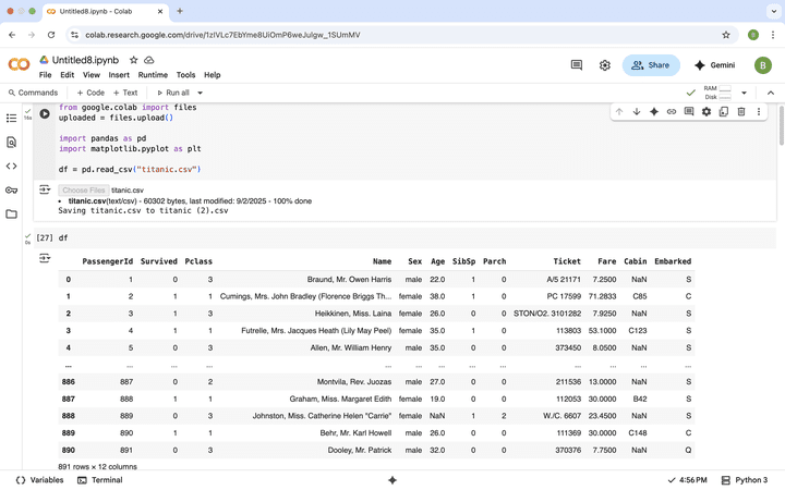 تحليل استكشافي لبيانات ركاب التايتانيك باستخدام Python وPandas وMatplotlib، يتضمن إحصاءات ورسوم بيانية توضح تأثير الفئة والعمر والجنس والتذكرة على فرص النجاة.