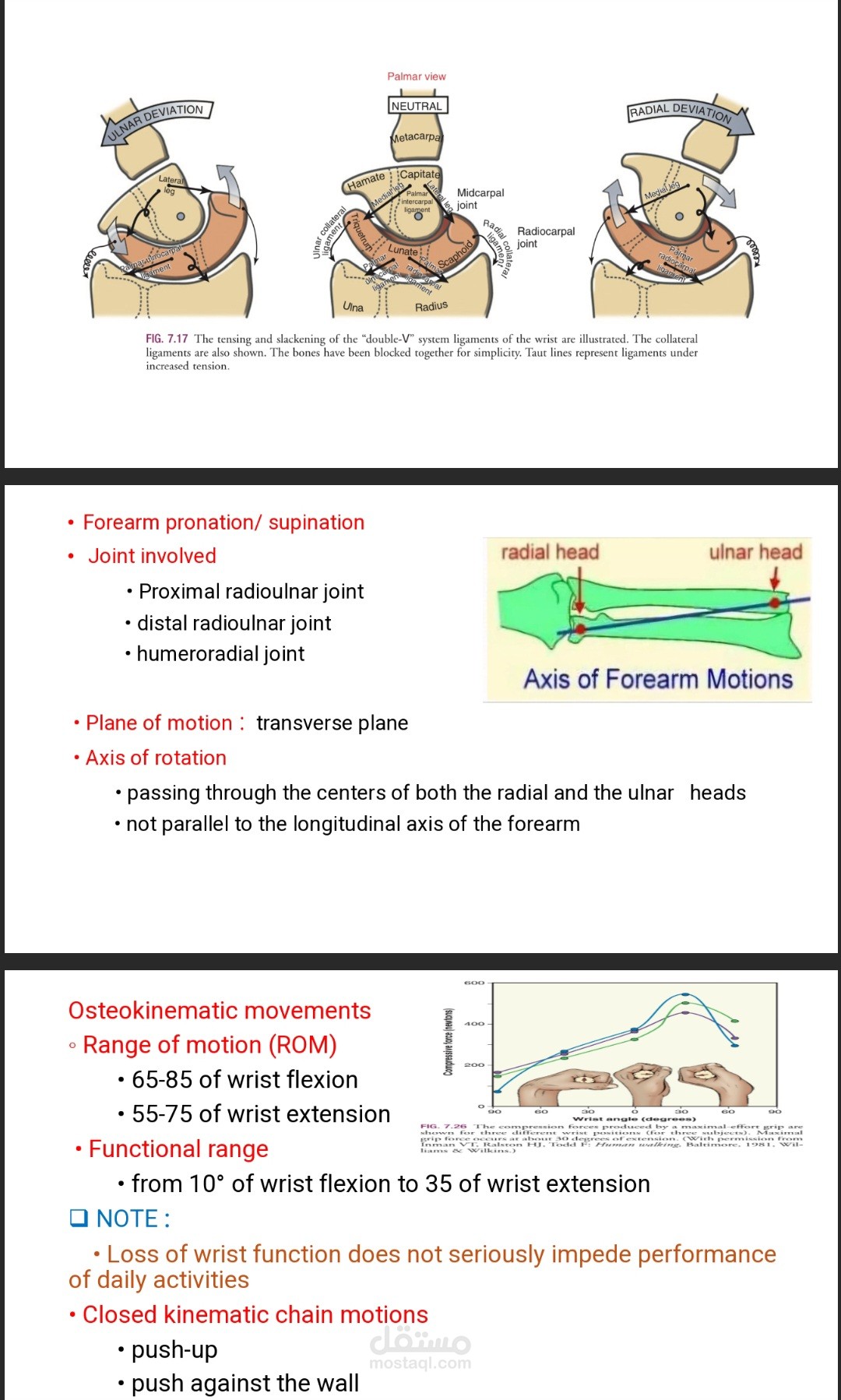 PowerPoint