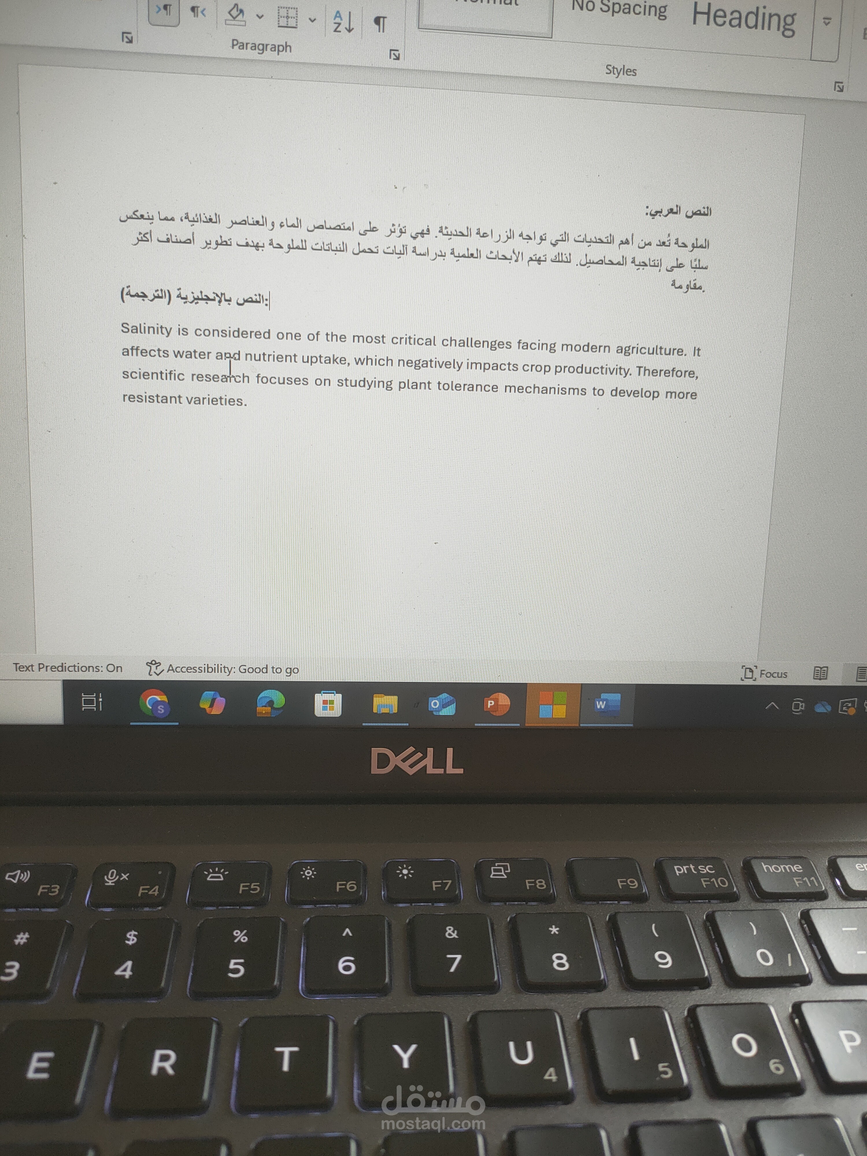 Translation Example (Arabic ⇄ English)