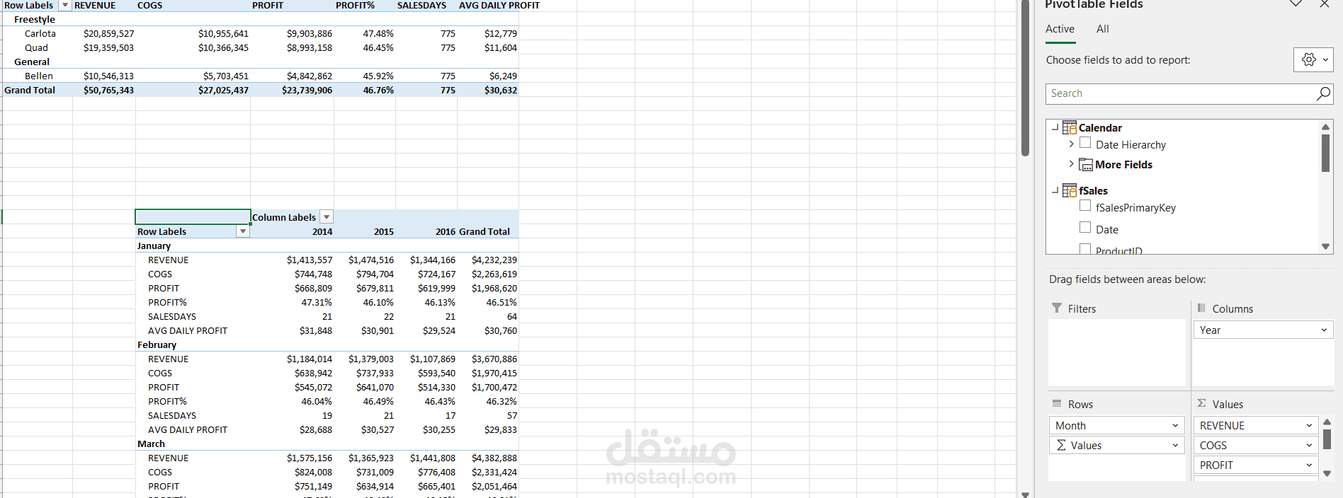 excel project